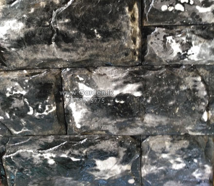 sri-lanka-wall-stone-black-and-white