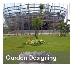 sri lanka garden photo designing landscaping 3d