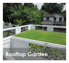 sri lanka rooftop garden designing